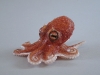 spoon arm octopus